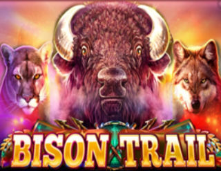 Bison Trail