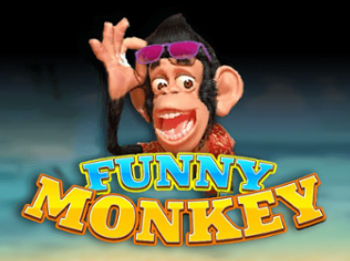 Funny Monkey