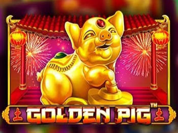 Golden Pig