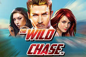 Wild Chase