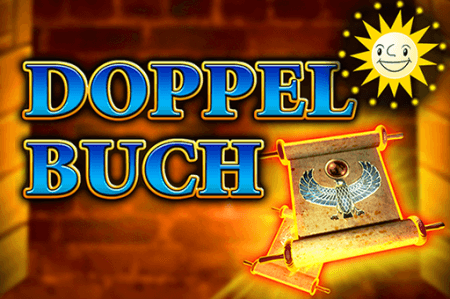 Doppel buch