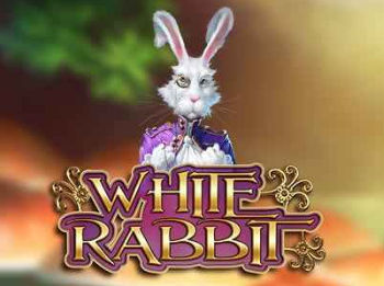 White Rabbit